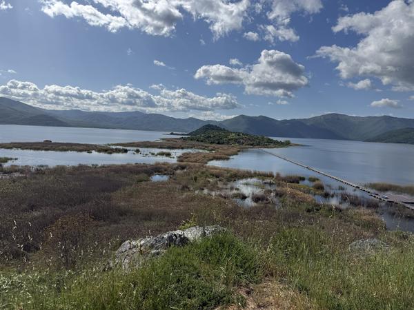 <h3>Prespa meren</h3><p>De meren zijn deels ondiep, wat watervogels veek kansen biedt.  In het riet zaten veel grote karekieten.</p>Apple met iPhone 16 Pro back triple camera 6.765mm f/1.78, 1/9091 sec  bij F1.8, ISO 80